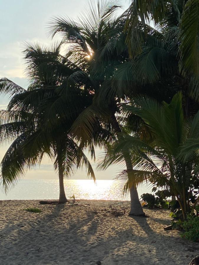 Anda Di Hows Hostel Placencia Bagian luar foto