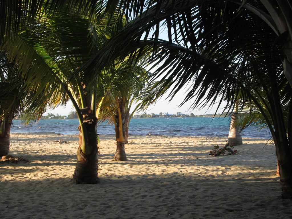 Anda Di Hows Hostel Placencia Bagian luar foto