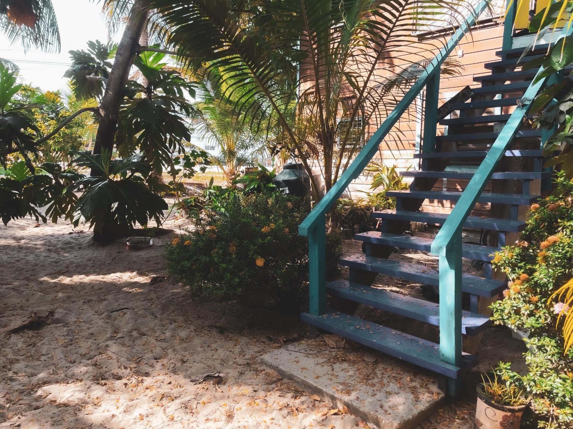 Anda Di Hows Hostel Placencia Bagian luar foto