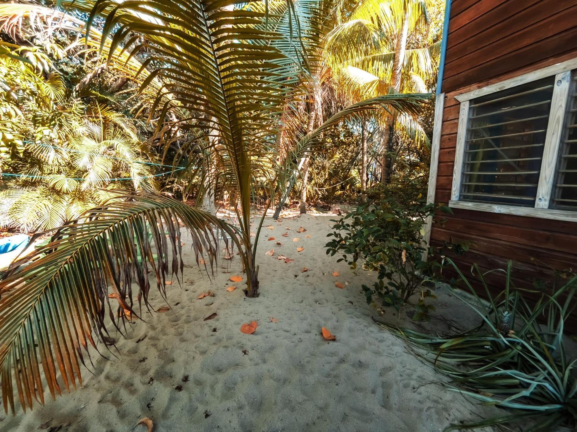 Anda Di Hows Hostel Placencia Bagian luar foto