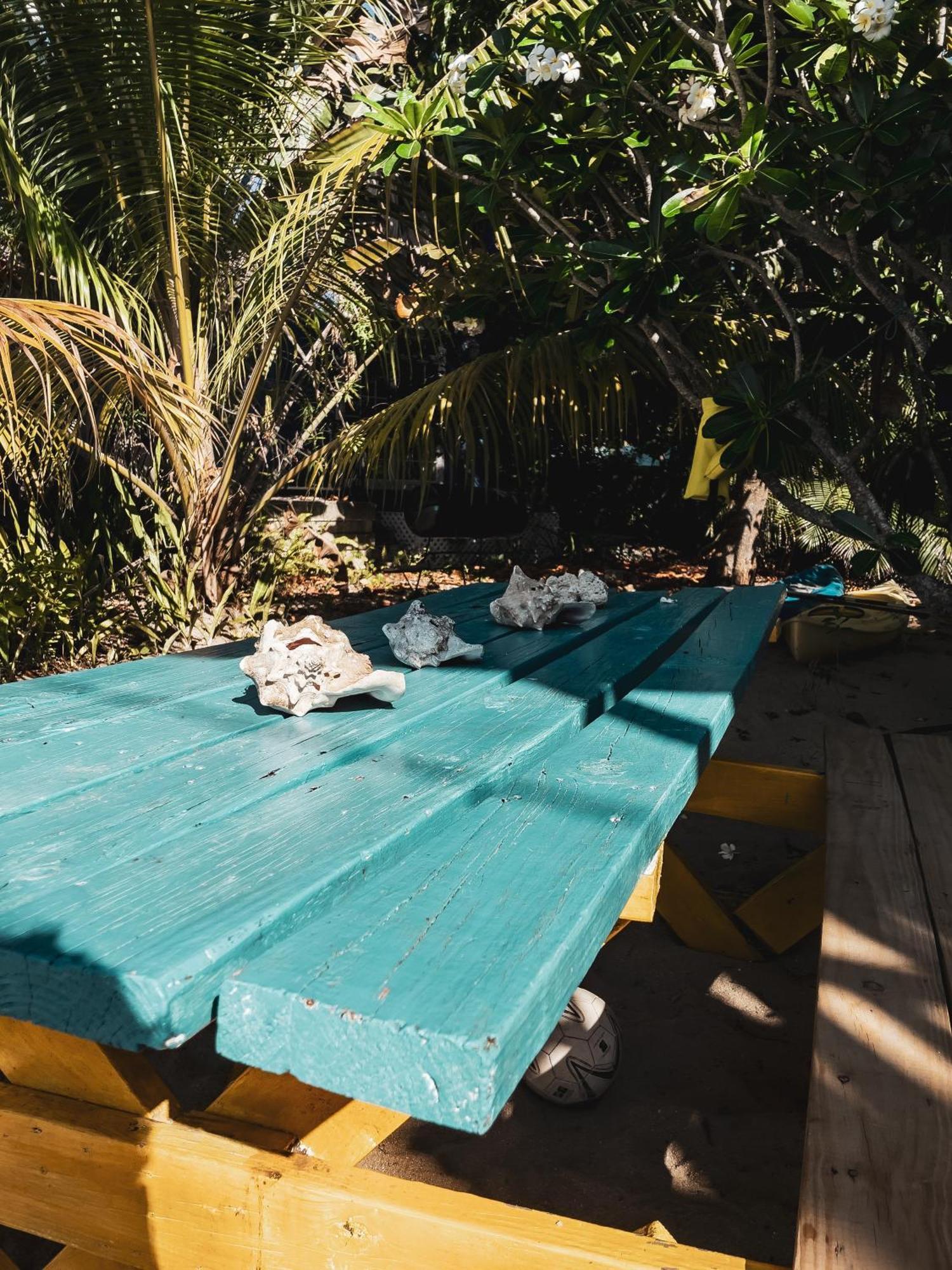 Anda Di Hows Hostel Placencia Bagian luar foto