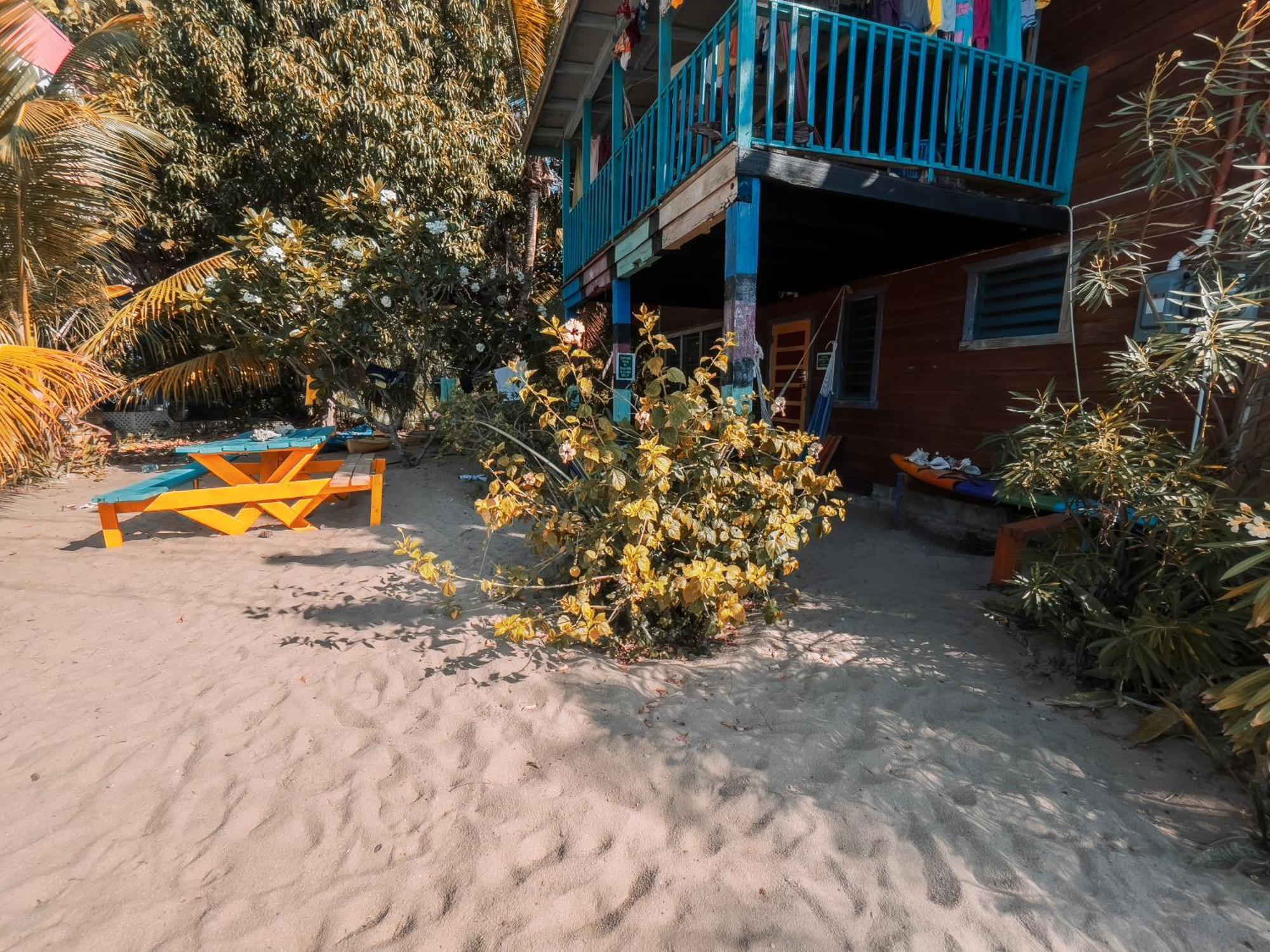 Anda Di Hows Hostel Placencia Bagian luar foto