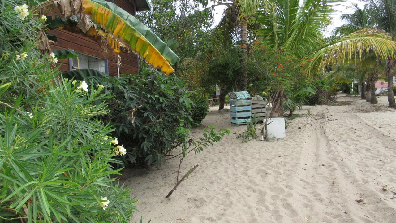 Anda Di Hows Hostel Placencia Bagian luar foto