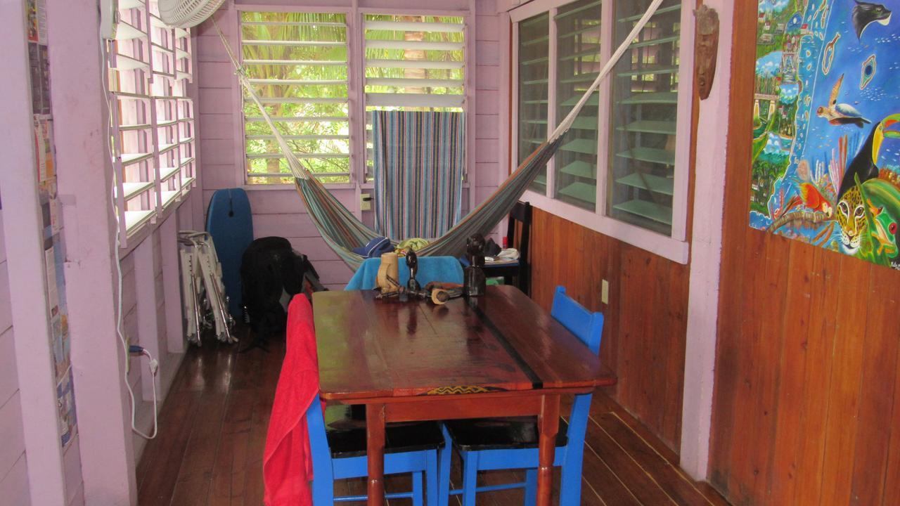 Anda Di Hows Hostel Placencia Bagian luar foto