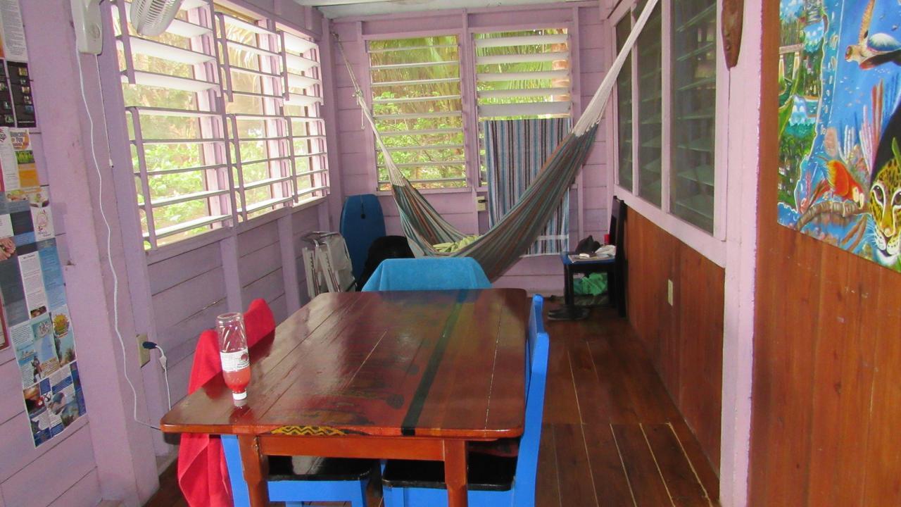 Anda Di Hows Hostel Placencia Bagian luar foto