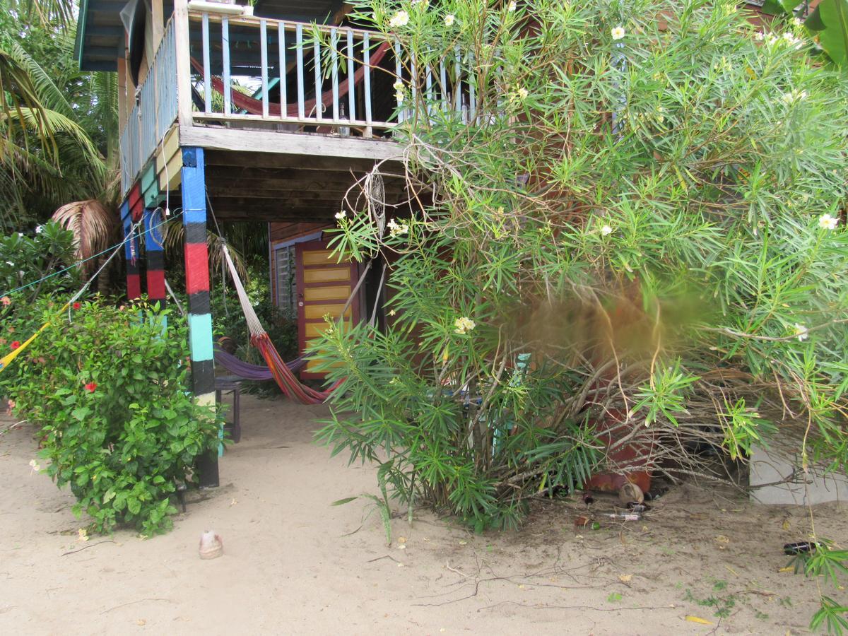 Anda Di Hows Hostel Placencia Bagian luar foto