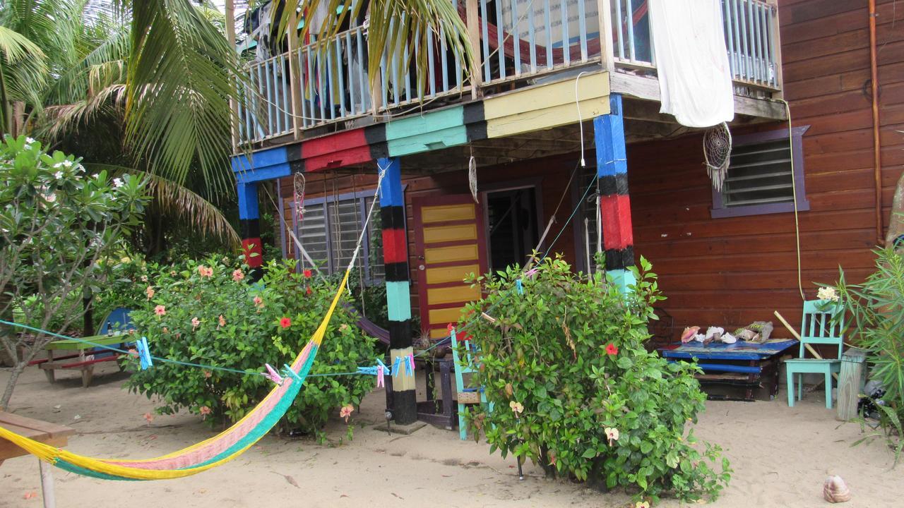 Anda Di Hows Hostel Placencia Bagian luar foto