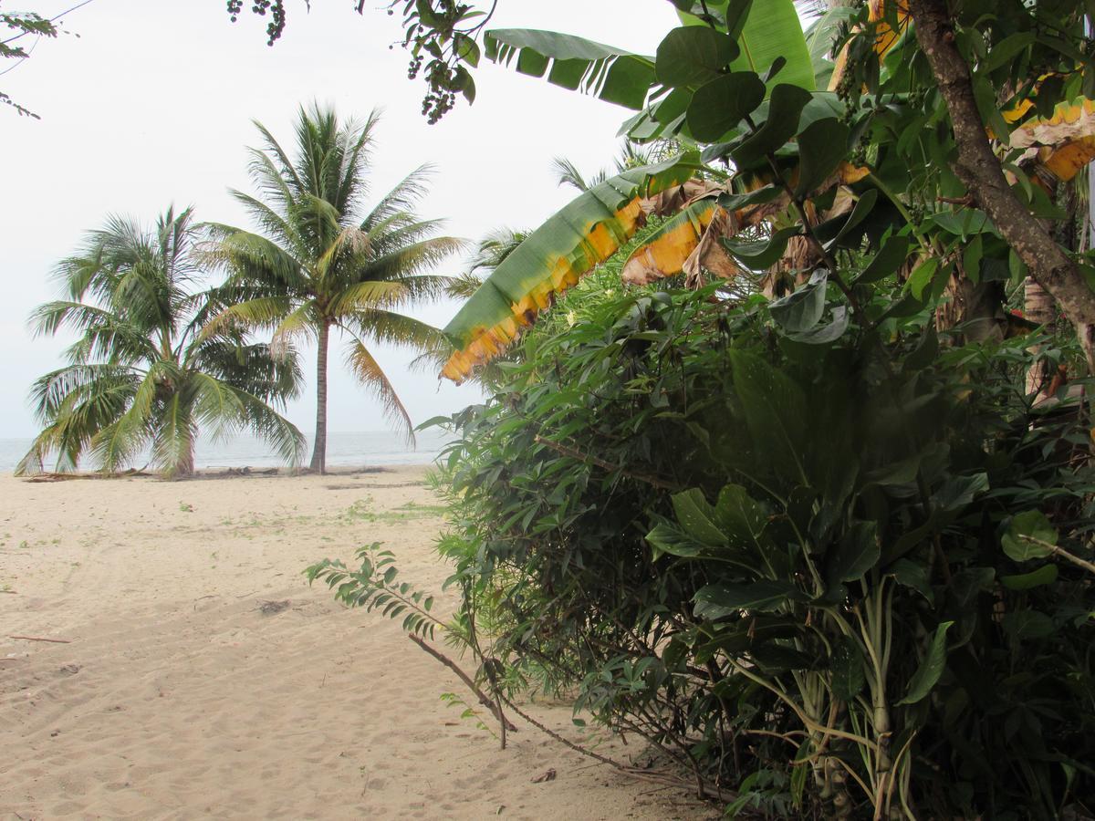 Anda Di Hows Hostel Placencia Bagian luar foto